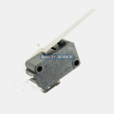 024802 - DOOR MICROSWITCH E32/G32