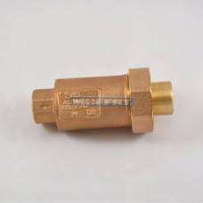 231602 - DUAL CHECK VALVE 1/2