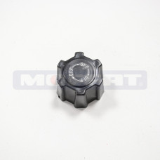 242610 - KNOB PILOT VALVE