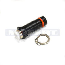 10701019 - CENTRAL INJECTOR/14