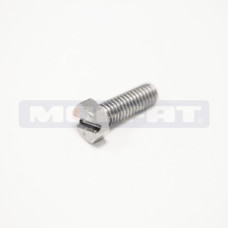 37030518 - SHOWER SCREW []